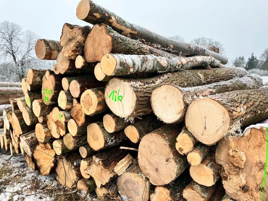 PEFC-zertifiziertes Kiefernholz pro LKW-Ladung – 60 m³