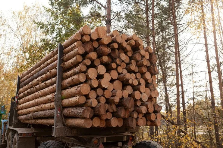 Buchenstämme, LKW-Ladung von 25 Kubikmetern